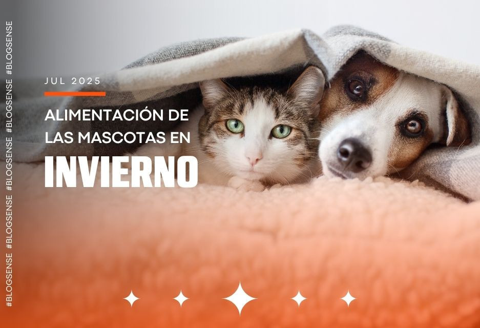 Alimentación de las mascotas en invierno